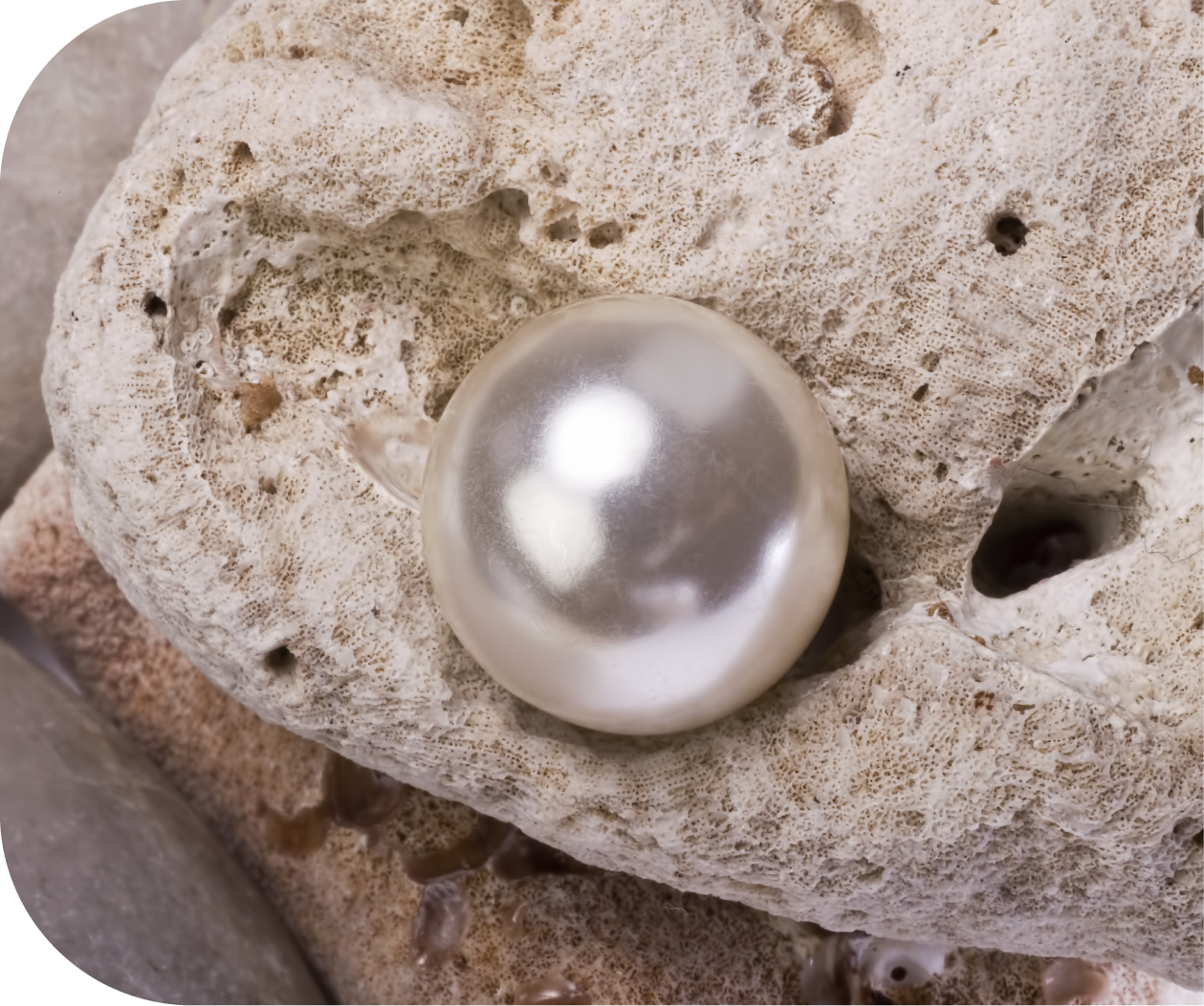 PEARL_イメージ画像