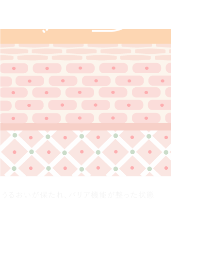 肌のAfterイメージ図