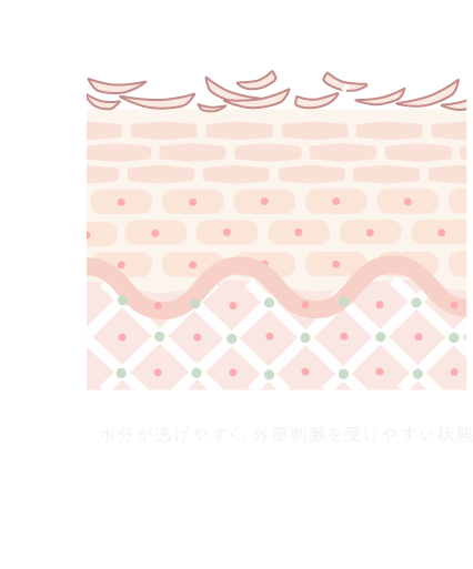 肌のBeforeイメージ図